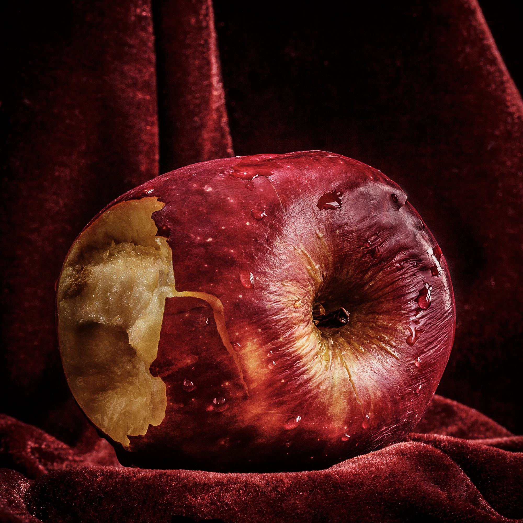 Art, Of the Garden: Malus domestica, 2014