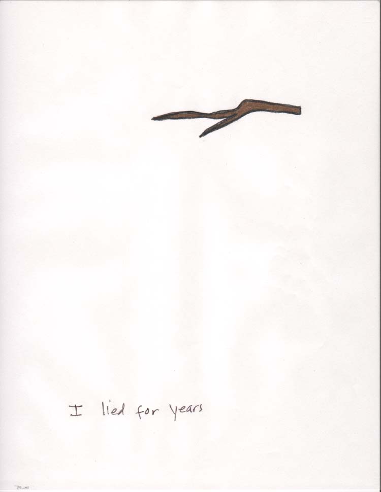I Lied for Years