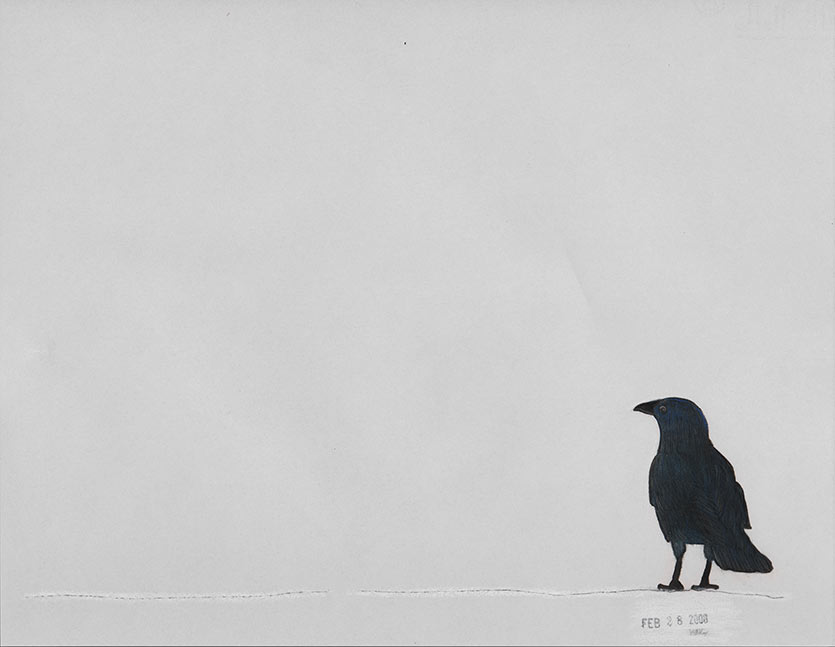 Crow