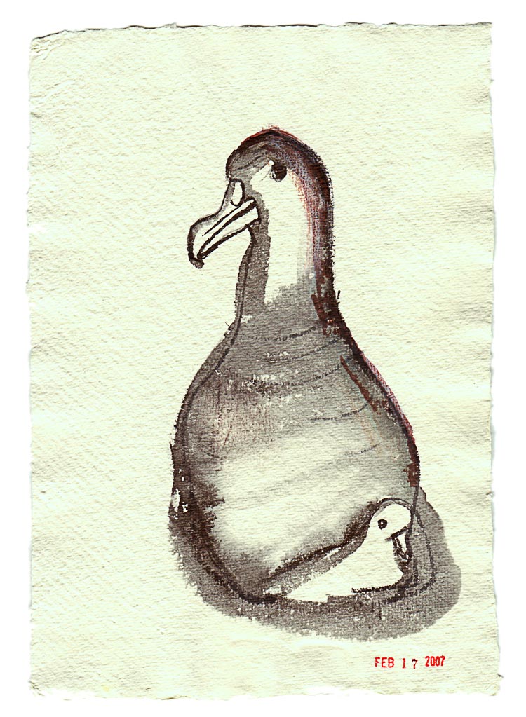 Amsterdam Albatross