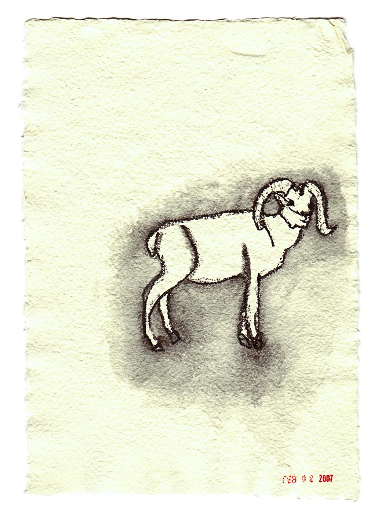 Argali