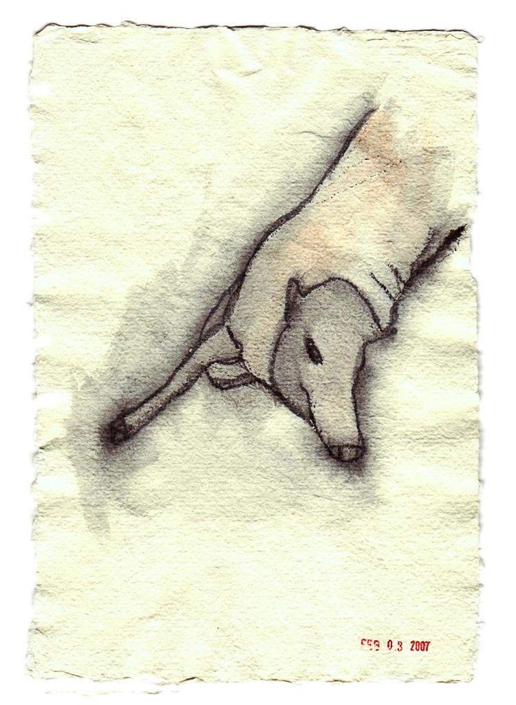 Babirusa