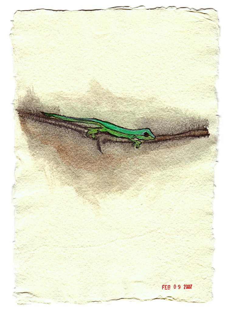Day Gecko