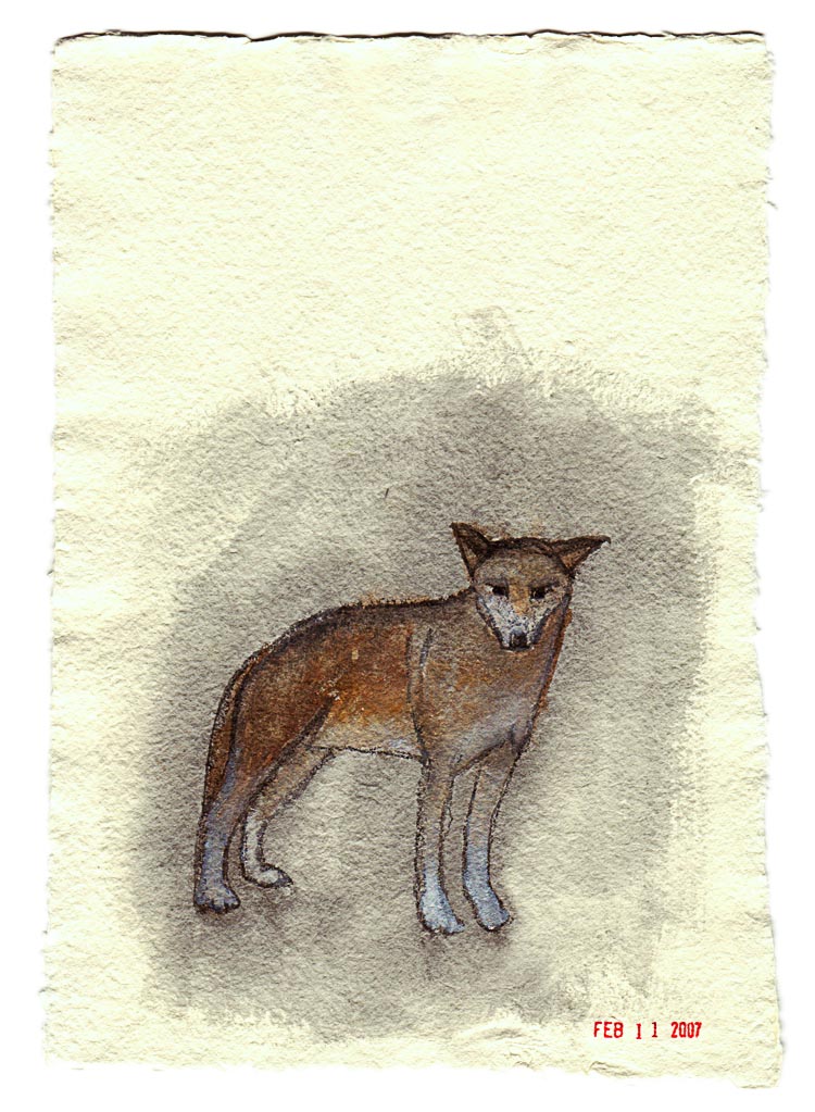 Red Wolf