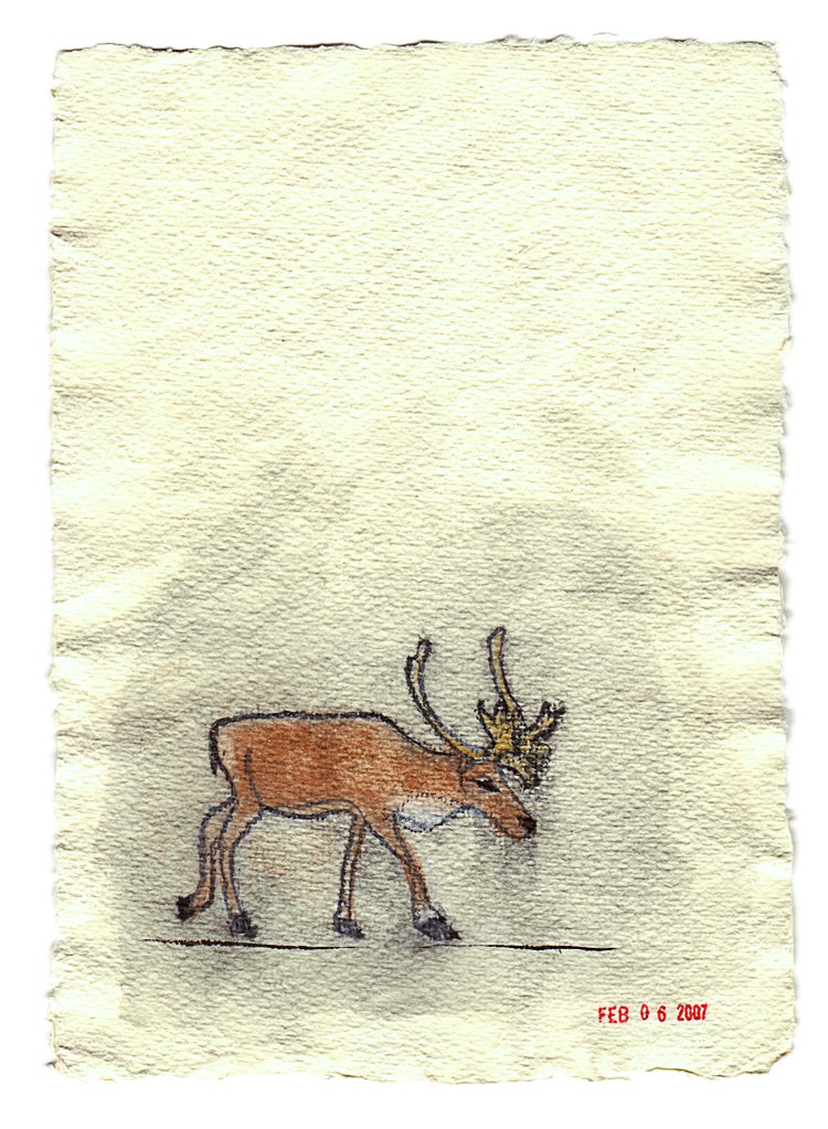 Woodland Caribou
