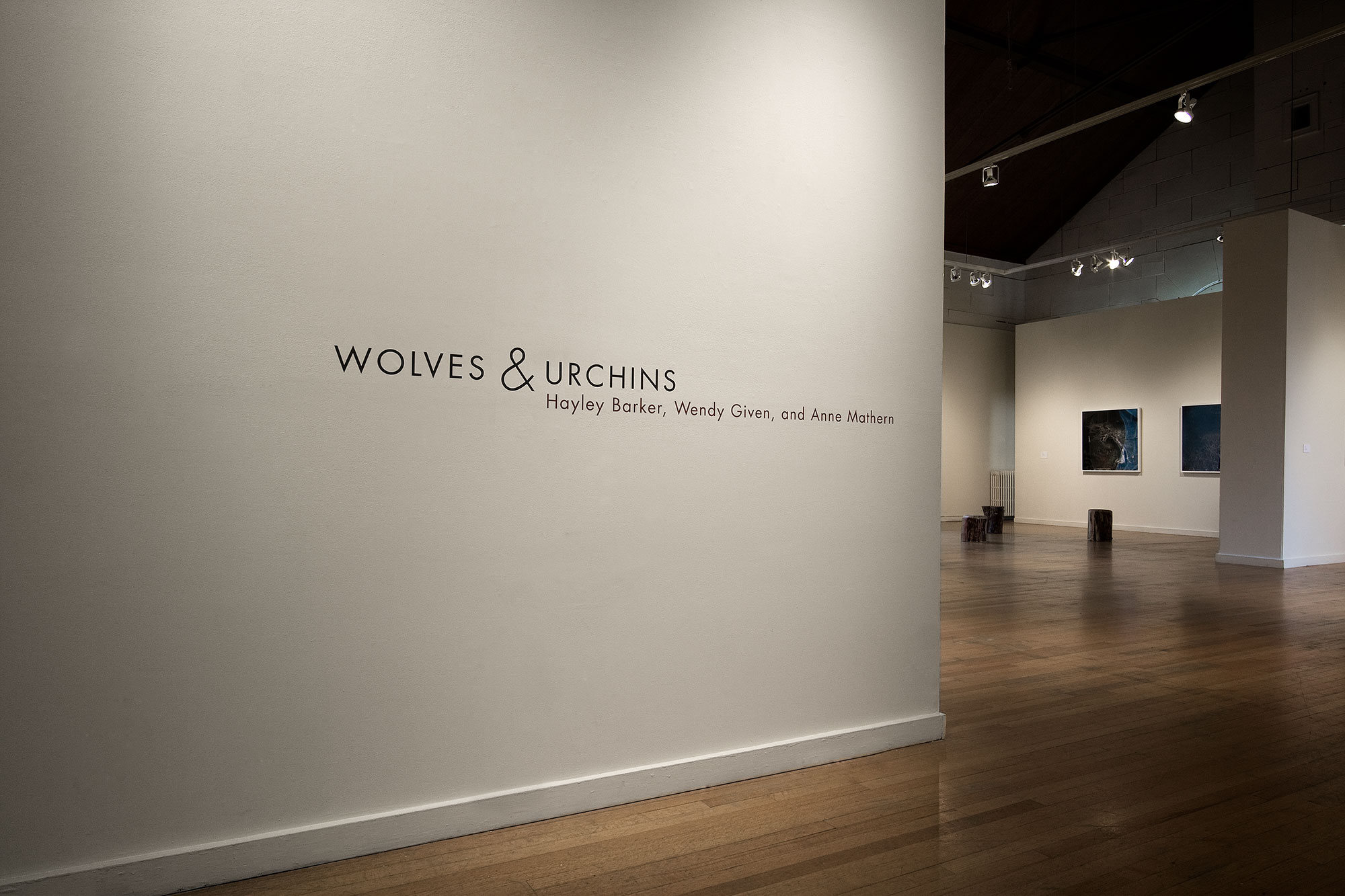 Art, Wolves & Urchins