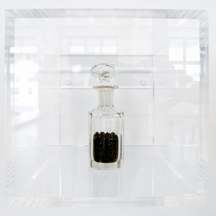 The Flowery Dream: Specimen 18, 2010