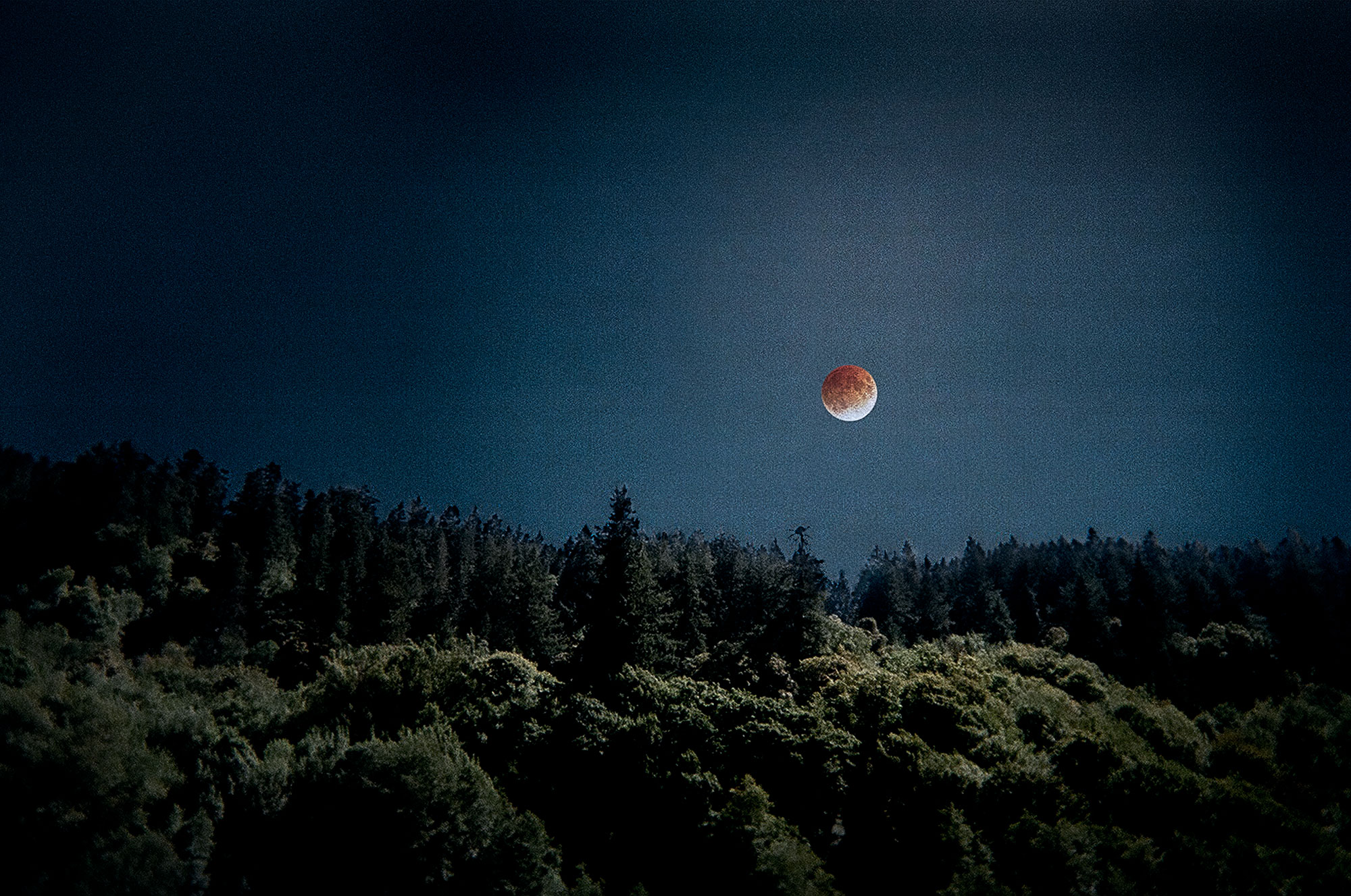 Art, On Myth and Magic No. 5: Eclipse, 2009