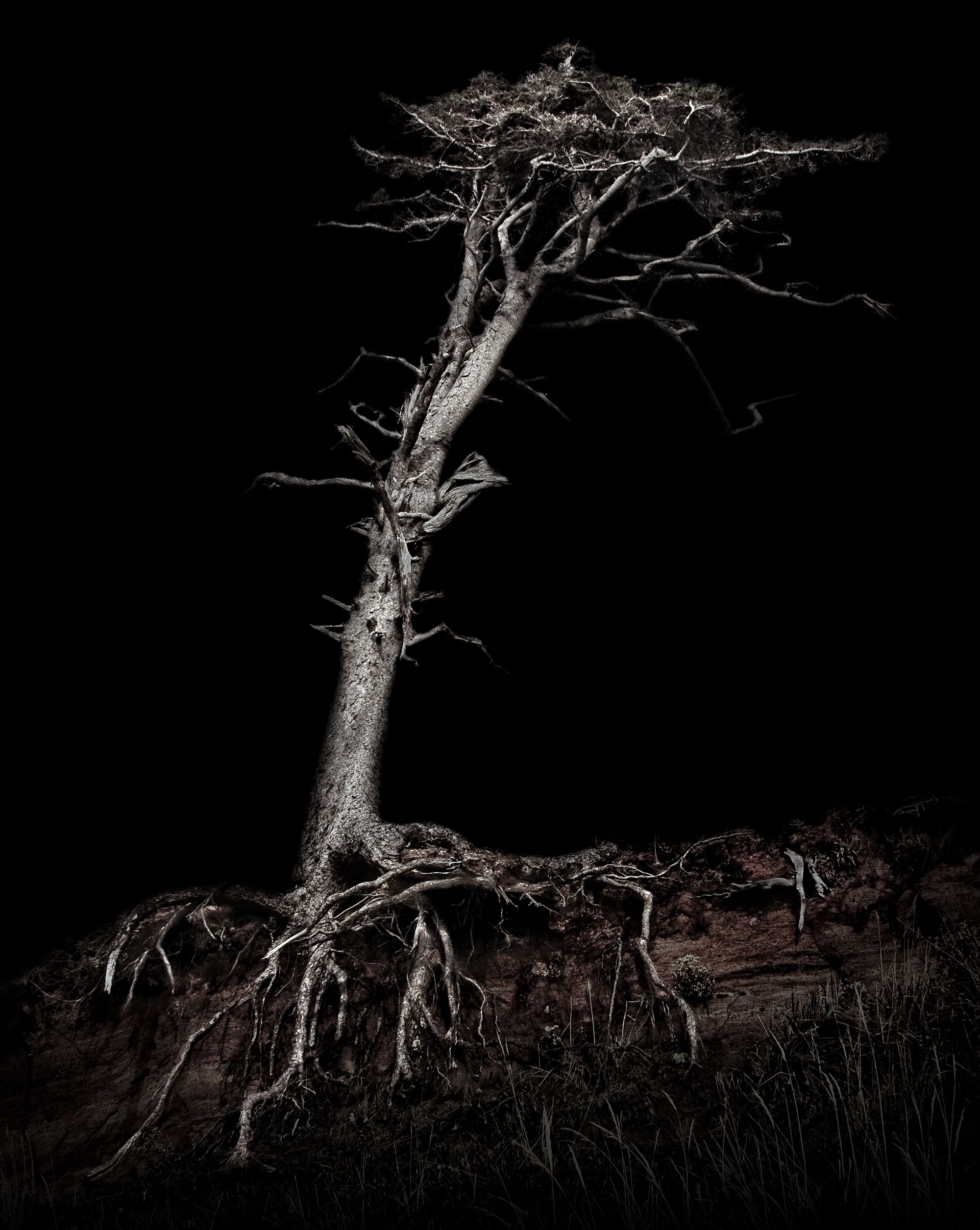 Art, On Myth and Magic No. 7: Waldgeist, 2009